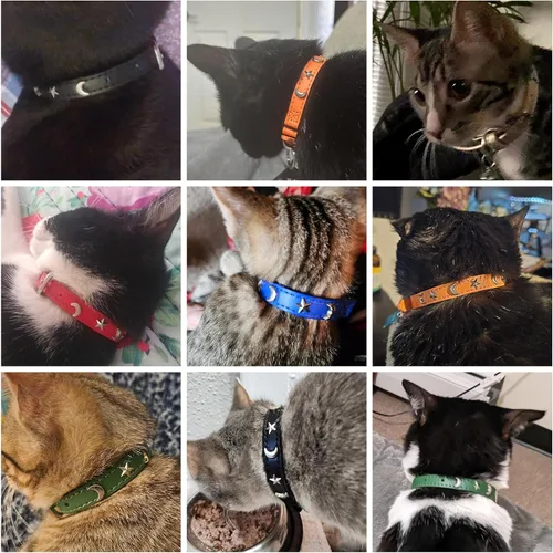 Miniatura 5 de Collares de cuero DILLYBUD para gatos macho y hembra con campana y cinturón elástico de seguridad, collar ajustable con hebilla de seguridad