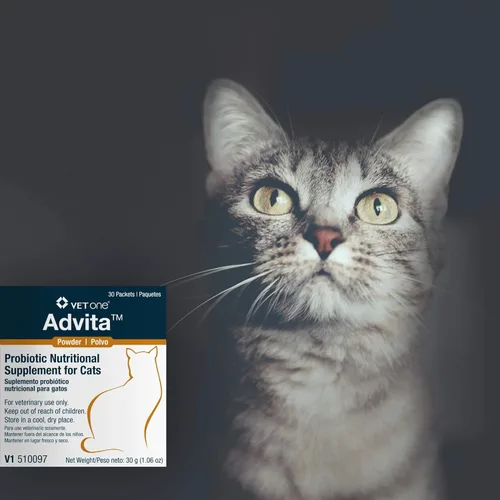 Miniatura 3 de VetOne Advita - Suplemento nutricional probiótico en polvo para gatos, 30 paquetes (0.04 oz)