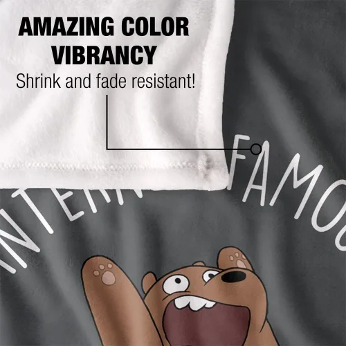 Miniatura 4 de We Bare Bears - Manta muy suave al tacto sedoso de Internet, 36 x 58 pulgadas