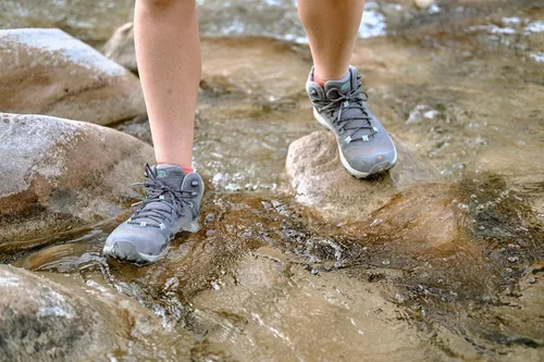 Miniatura 5 de KEEN Terradora 2 - Botas de senderismo impermeables para mujer, de altura media