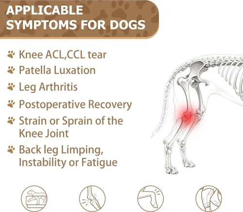 Miniatura 2 de Rodillera para perro para pierna trasera desgarrada del ligamento cruzado anterior, tirantes ajustables para pierna trasera, soporte de ACL, CCL