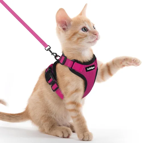 Miniatura 95 de rabbitgoo Juego de arnés y correa para gatos, arnés a prueba de escapes para paseos seguros al aire libre, chaleco suave transpirable ajustable