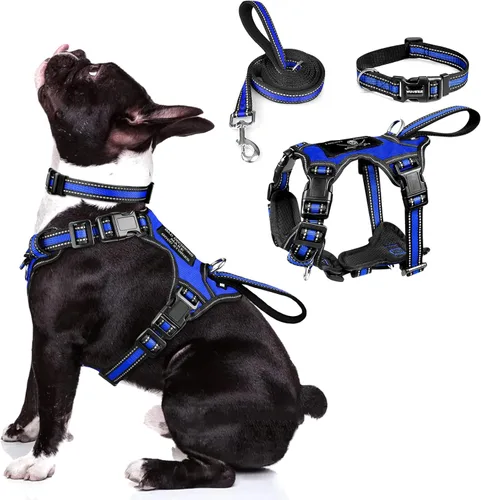 Miniatura 13 de WINSEE - Juego de arnés, collar y correa para mascotas, todo en uno, arnés reflectante para perros sin tirones con hebillas ajustables para Rojo