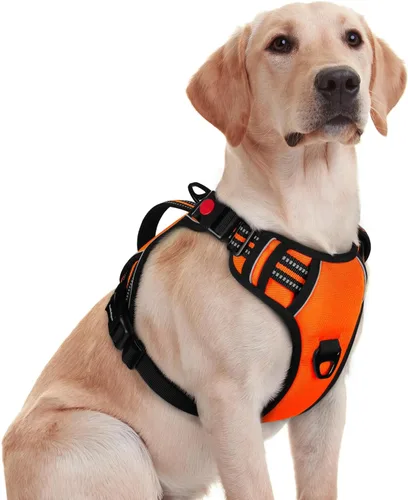 Miniatura 15 de rabbitgoo Arnés para perro de tamaño pequeño, arnés para mascotas sin tirones con mango acolchado suave, chaleco reflectante ajustable con 3