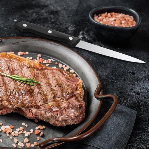 Miniatura 6 de Lasnten Juego de 100 cuchillos de carne de acero inoxidable de 8.78 pulgadas, punta puntiaguda, mango de plástico, cuchillo de cocina