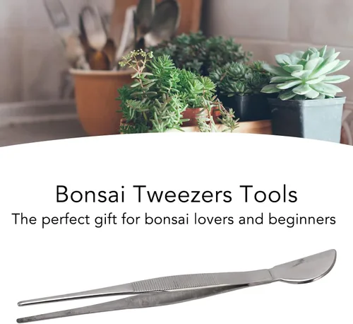 Miniatura 4 de TOPINCN Pinzas para bonsái, pinzas largas de acero inoxidable para plantas con cabeza de espátula de luna, para el jardín del hogar, aflojamiento