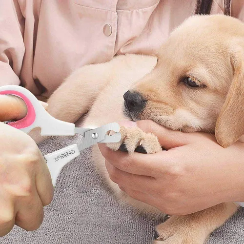 Miniatura 5 de Cortaúñas para mascotas, versión actualizada, cortaúñas para gatos y gatitos, cortaúñas profesional para mascotas, ideal para gatos, cachorros, Rosa