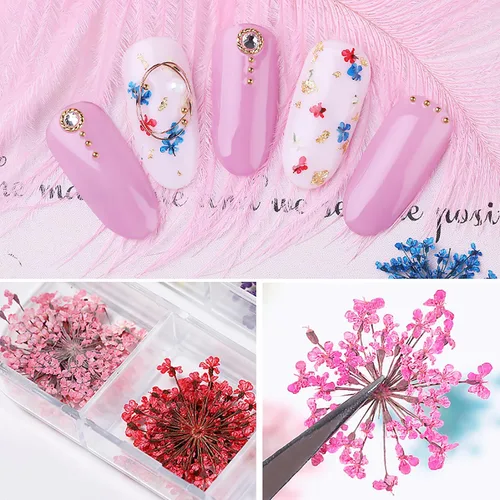 Miniatura 3 de 2 cajas de flores secas para uñas, mini flores de uñas reales 3D, flores secas, calcomanías de uñas, decoración de uñas, decoración de manicura