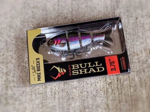 Miniatura 4 de Catch Co Mike Bucca Baby Bull Shad Swimbait 9.53 cm 14.17 g Rainbow Trout