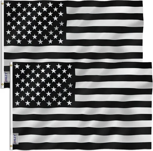 Miniatura 12 de Bandera histórica de los Estados Unidos Blanco