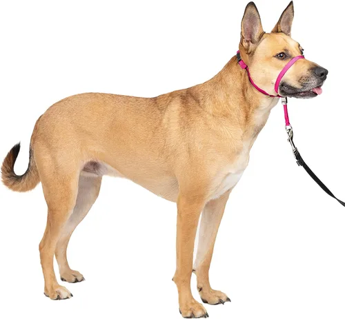 Miniatura 2 de PetSafe Gentle Leader - Collar de perro sin tirones, rosa frambuesa y correa de nailon para perro, resistente, duradera, estilo tradicional