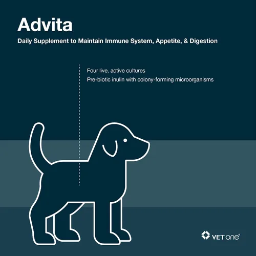 Miniatura 5 de Vet One Polvo probiótico Advita™ para perros, un suplemento nutricional diario para mantener el sistema inmunológico, el apetito y la digestión