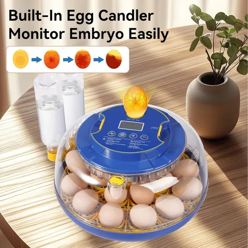Miniatura 5 de Incubadoras de 18 huevos para incubar huevos, incubadora de huevos de gallina con giro automático de huevos y control de temperatura y humedad, tapa