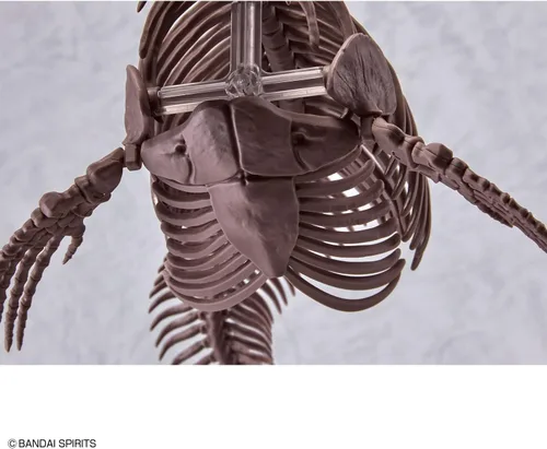 Miniatura 15 de Bandai Hobby Mosasaurus Imaginary Skeleton 1/32 Dinosaur Model Kit