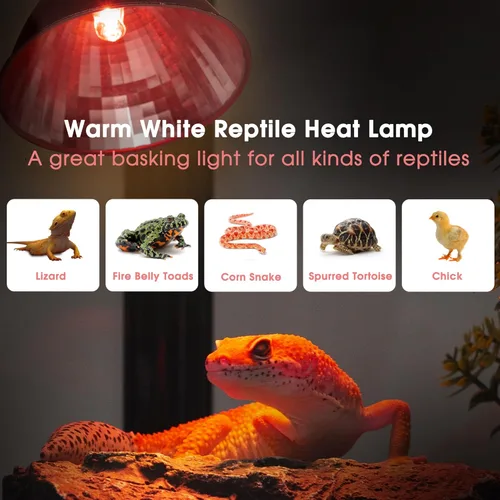 Miniatura 2 de Briignite Lámpara de calor de reptil roja, bombilla de calor G9 de 50 W y lámpara de cúpula para reptiles, reflector de aluminio, lámpara de calor