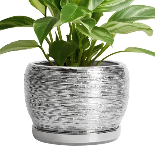 Miniatura 79 de SQOWL Macetas de cerámica – Maceta de 6 pulgadas con orificio de drenaje y bandeja, maceta redonda para plantas de interior, maceta decorativa