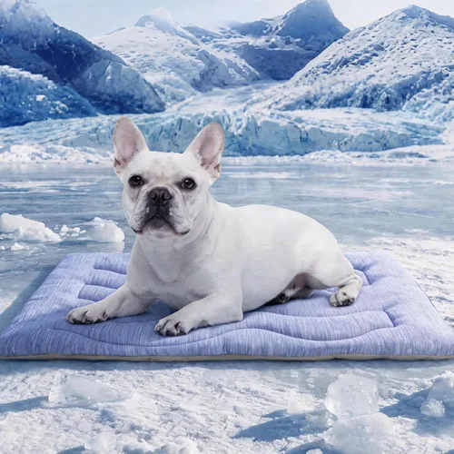 Tapete refrescante para perros, portátil y duradero para perros, absorción física del calor, cama de enfriamiento antideslizante para perros
