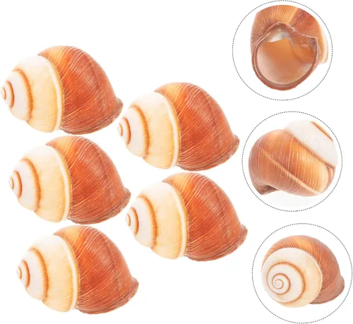 Miniatura 9 de Hemobllo 5 unidades de caracol natural Escargot para hornear diseño de aislamiento térmico para restaurantes, uso doméstico, seguro para horno