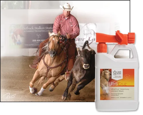 Miniatura 3 de UltraCruz Lavado de linimento veterinario para caballos, 32 onzas con spray de viaje