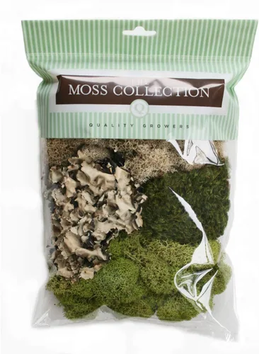 Paquete variado de la colección Moss - Musgo decorativo natural - Manualidades, decoración del hogar, proyectos de arte, diseño y bricolaje - No