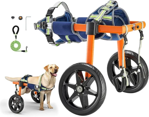 Miniatura 11 de VEVOR Silla de ruedas para perros para patas traseras, silla de ruedas ligera de 2 ruedas para mascotas, altura, ancho y longitud ajustable, carrito