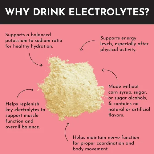 Miniatura 3 de Fruit Punch Electrolytes-30 - Mezcla de bebida de hidratación con agua de coco, sal marina y minerales traza - Apoya la hidratación, la recuperación
