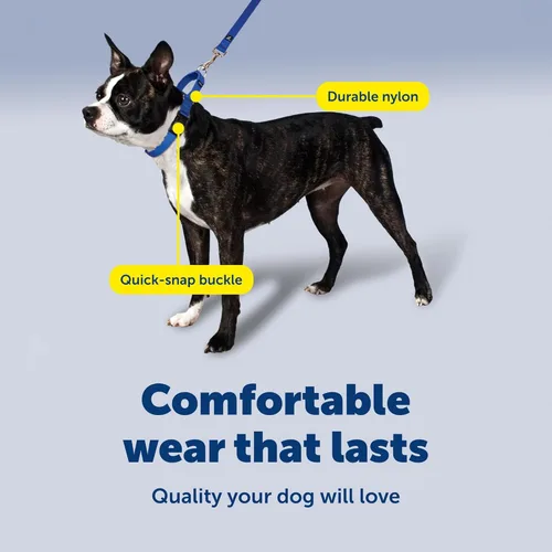 Miniatura 4 de Collar de la martingala de PetSafe Petite con hebilla rápida instantánea, Púrpura profundo