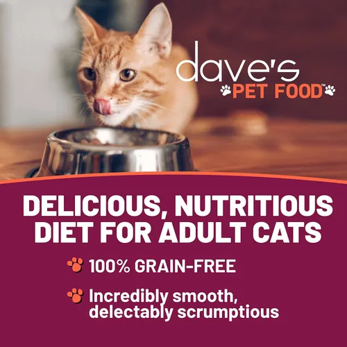 Miniatura 2 de Dave's Pet Food Grain Free Wet Cat Food (Chicken & Duck Saucey Pate), Naturally Healthy Canned, Added Vitamins & Minerals, Wheat Free, 5.5 oz