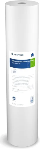 Pentair Pentek DGD-5005-20 Filtro de Agua Big Blue, Cartucho de Repuesto de Filtro de Sedimentos para Toda la Casa de 20 Pulgadas, Polipropileno