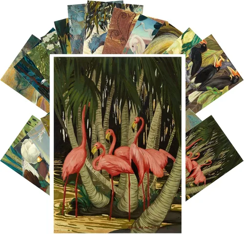 PIXILUV Postales vintage (24 piezas de 4 x 6 pulgadas cada una) magníficas pinturas pacíficas de pájaros de grúas y flamencos, postales vintage,