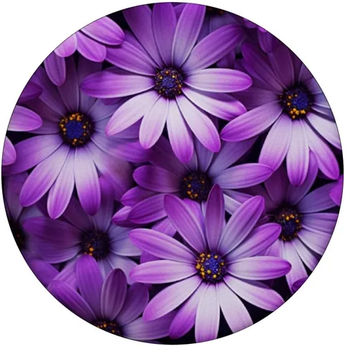 Miniatura 3 de Purple Daisy Flora Wildflowers PopSockets Standard PopGrip