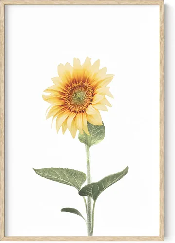 Miniatura 72 de HAUS AND HUES Arte de pared de vaca rústica, estampado de animales de granja con flores (sin marco, 12 x 16)