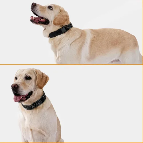 Miniatura 5 de Annchwool Juego de collar ajustable para perro y correa de 5 pies con hebilla de metal resistente, cómodo forro reflectante y doble asa para perros