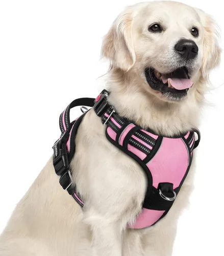 Miniatura 35 de rabbitgoo Arnés para perro de tamaño pequeño, chaleco para perro sin tirones con 3 hebillas, arnés ajustable y acolchado suave para mascotas con asa