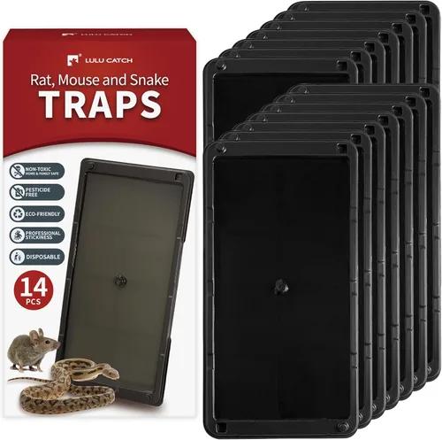 Miniatura 18 de LULUCATCH Trampas para ratones, paquete de 4, trampas de pegamento más grandes y pesadas para ratones, ratas y serpientes, trampas adhesivas