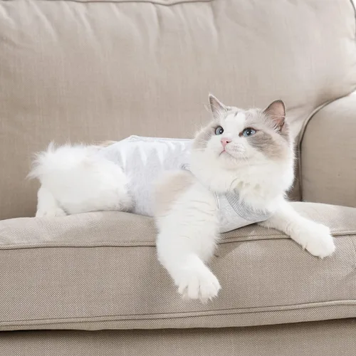 Miniatura 5 de Traje de recuperación para gatos macho y hembra, ropa suave para después de la cirugía, mono con cono protector, camisa, ropa, pañales protectores