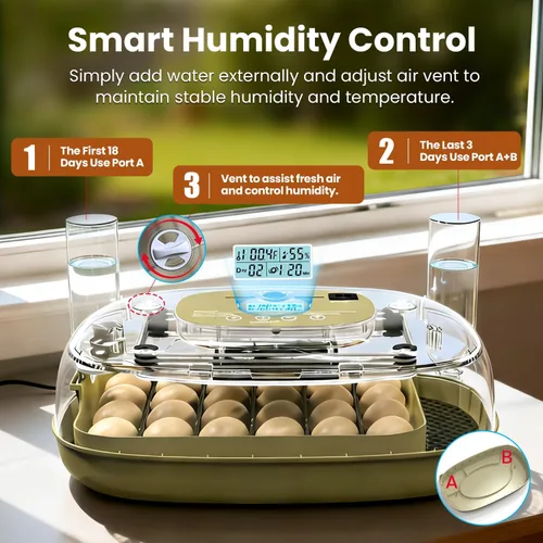 Miniatura 3 de Incubadoras para incubar huevos, capacidad de 24 huevos con giro automático, control preciso de temperatura y humedad, vela de huevo, ventilación