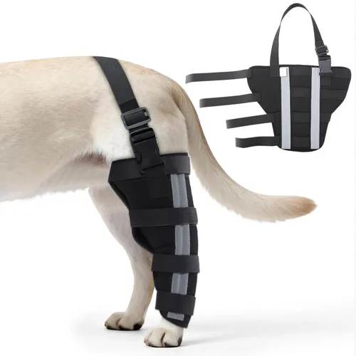 Rodilleras ortopédicas para perros, rodillera para perro para ligamento cruzado y soporte de pierna trasera, soporte canino para recuperación de