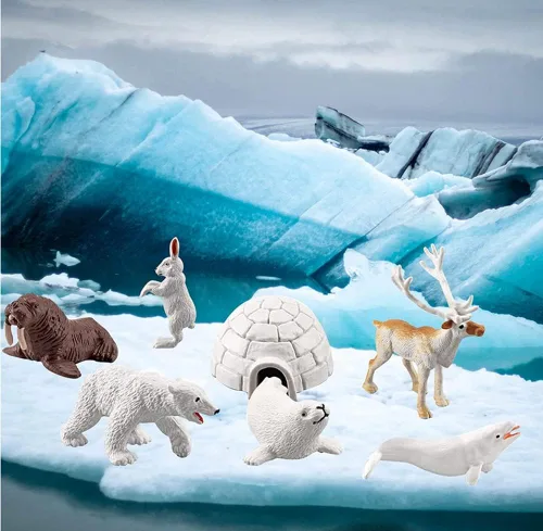 Miniatura 4 de NatureMan Juego de 10 figuras de animales árticos, mini juego de juguetes de animales árticos, figuras de animales marinos del océano del círculo