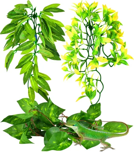 Miniatura 9 de KATUMO Plantas de reptiles, 3 plantas colgantes de anfibios con ventosa para serpientes, dragones barbudos, lagartos, geckos, sapos, tanque