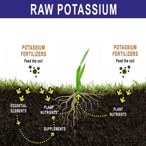 Miniatura 4 de RAW Potasio 2 lb