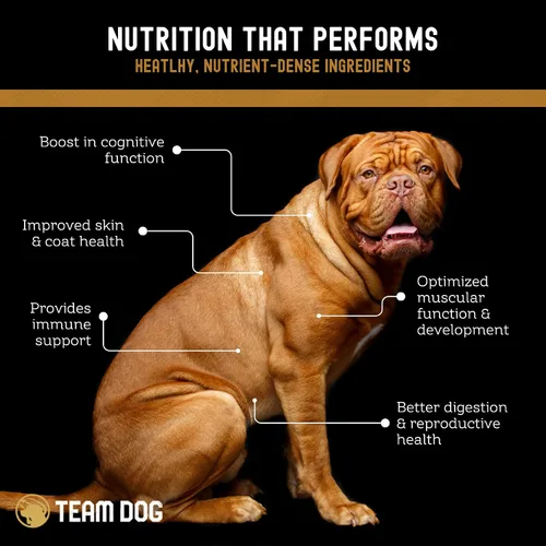 Miniatura 6 de TEAM DOG Elite Blend - Alimento para perros alto en proteínas, alto en calorías para aumento de peso, 30% de proteínas, 25% de grasa, 577 cal/taza
