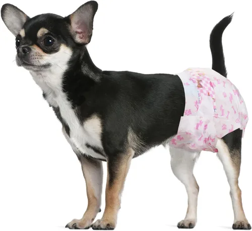 Miniatura 7 de Dono Pañales desechables para perras, pañales súper absorbentes para perros, con tecnología de gel de secado rápido, a prueba de fugas, ajuste