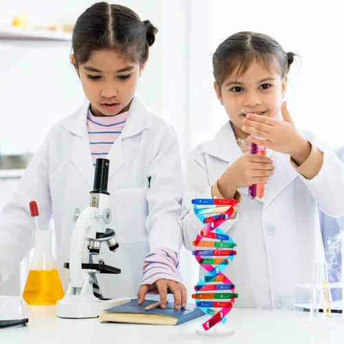 Miniatura 4 de NUOBESTY Kit de modelo de ADN, modelo de estructura de doble hélice, 13 pulgadas para ensamblar ayuda docente de biología con soporte