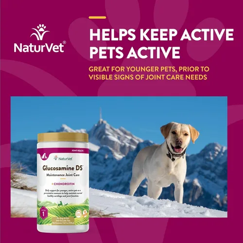 Miniatura 4 de NaturVet Glucosamina DS - Cuidado de mantenimiento de nivel 1 Cuidado preventivo para mantener el cartílago saludable y la función articular