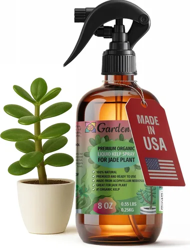 Miniatura 10 de GARDENERA Spray orgánico profesional de algas marinas para plantas AGLAONEMA – 8 oz – Rocío fertilizante de algas marinas y algas marinas totalmente