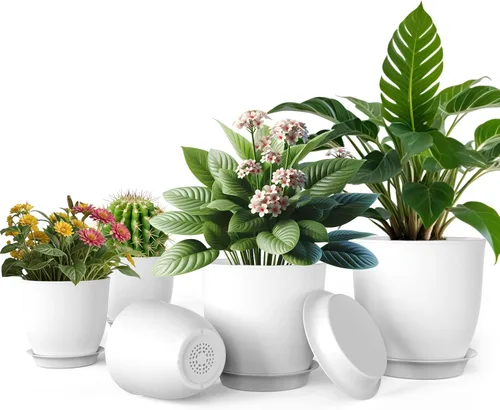 Miniatura 8 de iPower Macetas con drenaje de 7.1/6.3/5.5/5/4.5 pulgadas, decoración del hogar para macetas de interior, macetas de plástico, cactus, suculentas