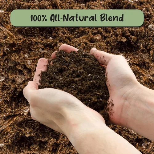 Miniatura 3 de Soil Sunrise Mezcla de tierra para macetas de plátano (12 cuartos de galón) – Mezcla mezclada a mano para interiores y exteriores para plantas
