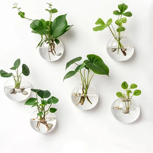 Paquete de 6 jarrones colgantes de pared, estación de propagación de macetas de vidrio, terrario, 4.7 pulgadas para plantas de interior, decoración