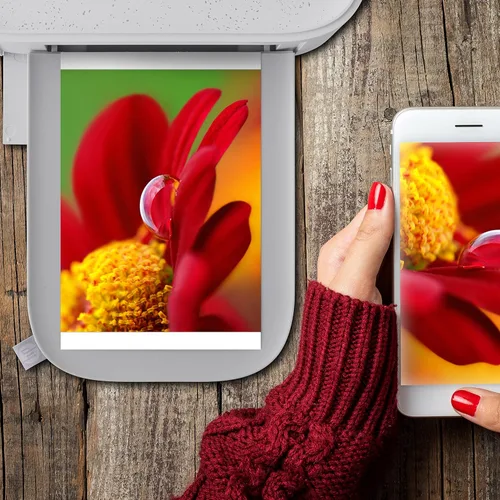 Miniatura 4 de HP Sprocket Studio Plus - Papel fotográfico de 4 x 6 pulgadas y cartuchos (incluye 108 hojas y 2 cartuchos) – Compatible solo con la impresora HP